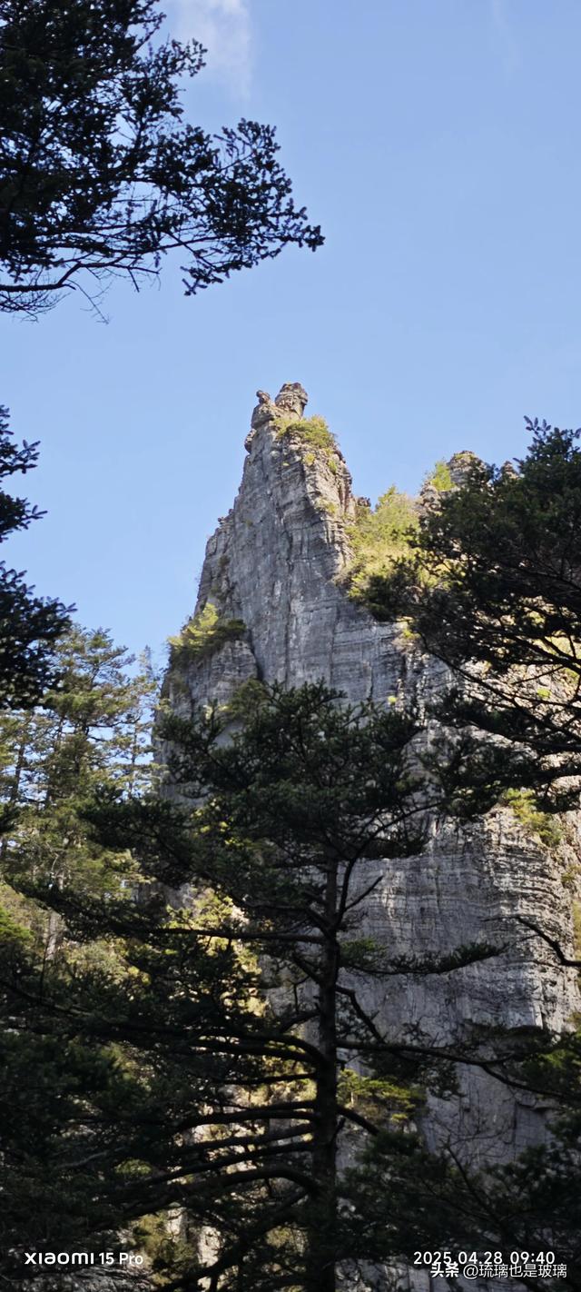 自驾湖北神农架，两上神农谷