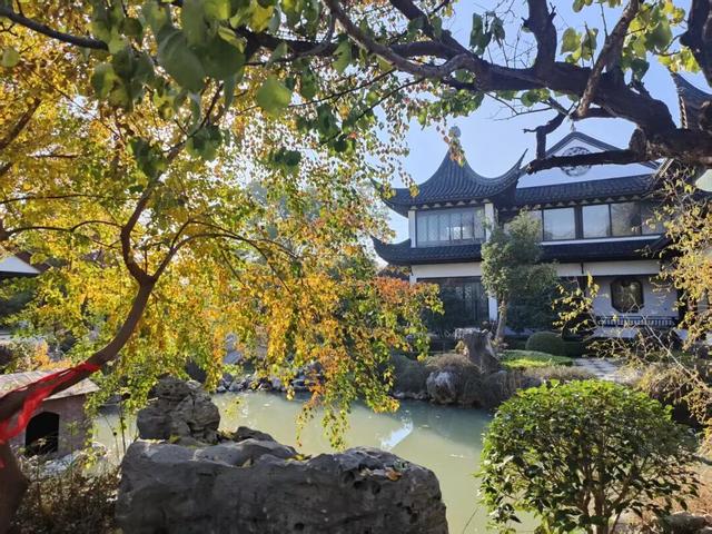 寻美薛城丨谁还没去？薛城小江南留园山庄这片初冬美景秘境藏不住了，速来打卡！