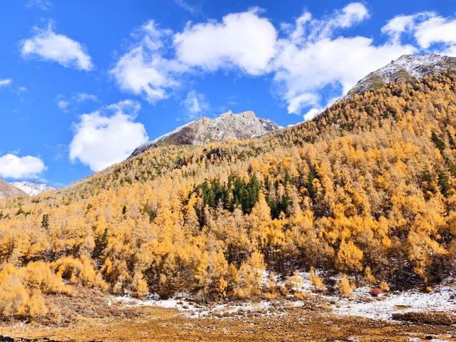 9月下旬-10月，适合秋季自驾的7条线路，金秋美景应接不暇