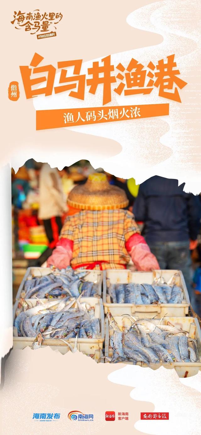 海南，好多“马”啊~