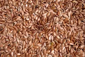 常吃亚麻籽的好处有哪些？这些你了解了吗？图片