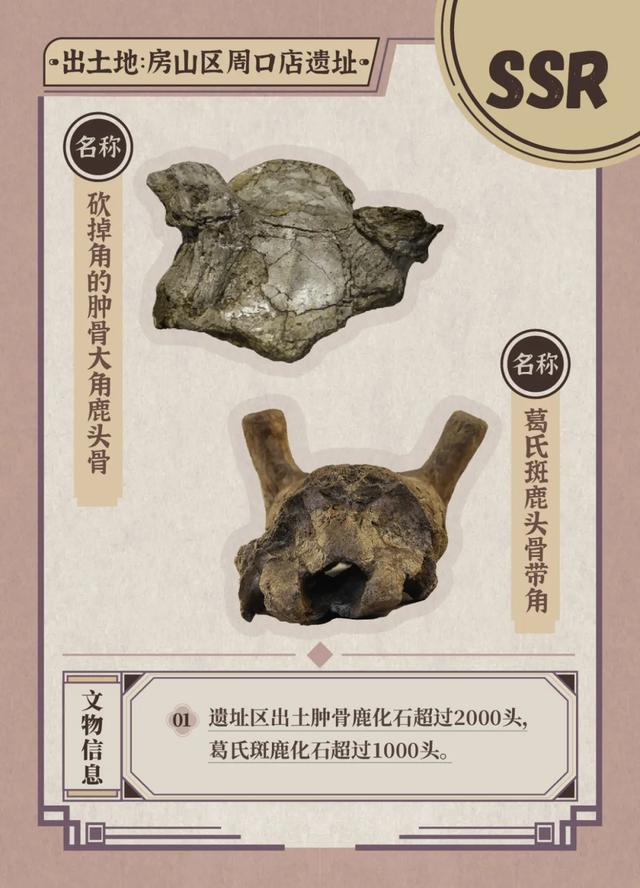 公众考古季丨抽取你的考古“盲卡”——金中都考古体验活动大朋友专场来啦！
