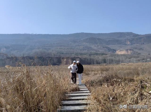 灞桥——这水，这柳