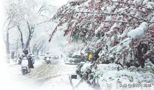 明日九月初九,老人说“下雪不下雪,就看九月初九”,今冬大雪?
