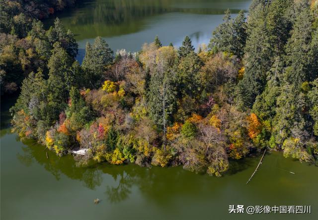 四川九寨沟：甲勿池金秋好风光