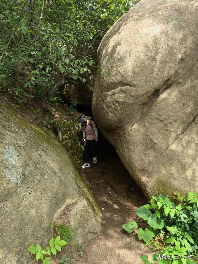 无为在歧路，避暑去鲁山