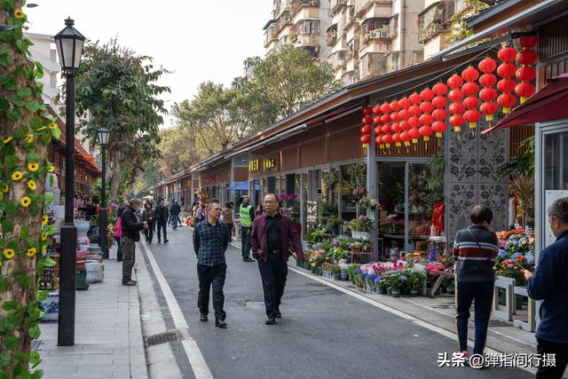 斥资500万！佛山30年花鸟老街，摇身一变成文艺新地标