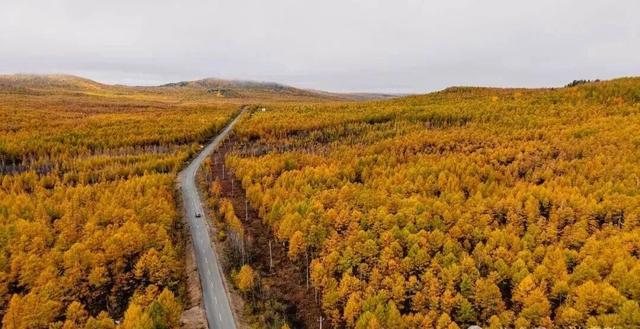 “国字号”招牌！呼伦贝尔两家入选