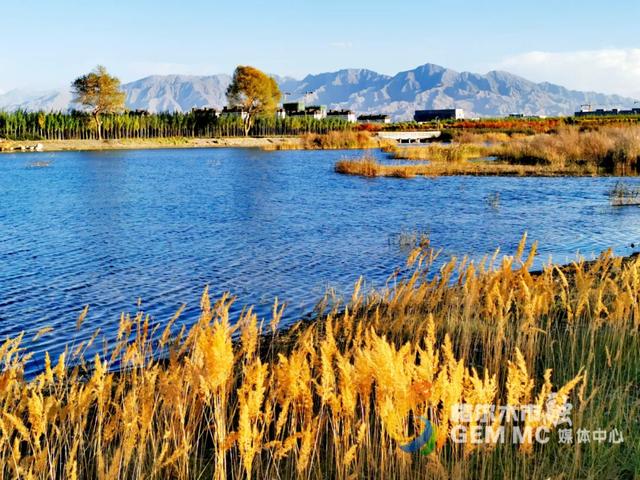 收藏！格尔木秋日美景，这份视觉盛宴千万别错过