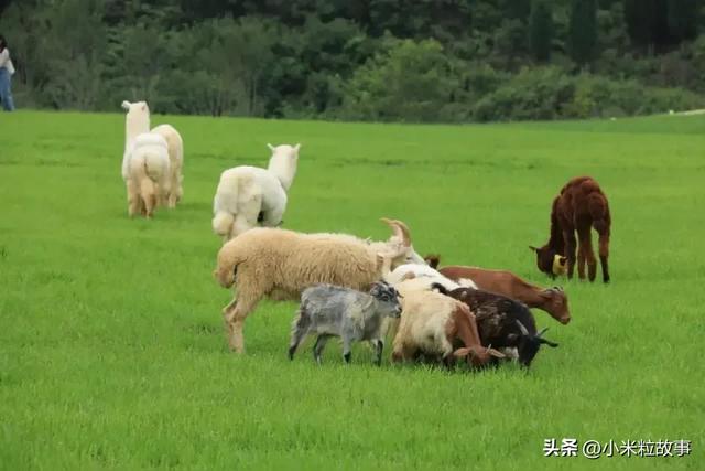 《乌蒙深处》邀你打卡贵州秘境：这里的山水比电视里还要美！