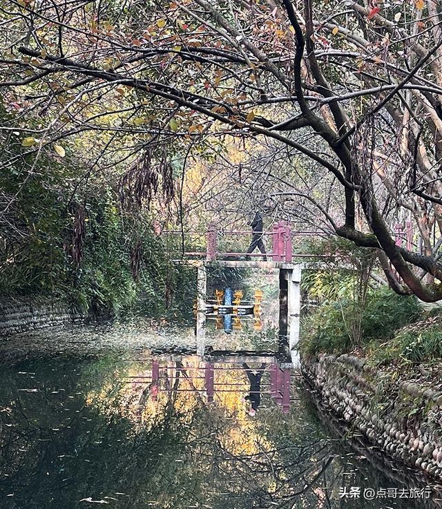 成都被私藏的彩林公园，流金溢彩，充满老城烟火气，地铁公交直达