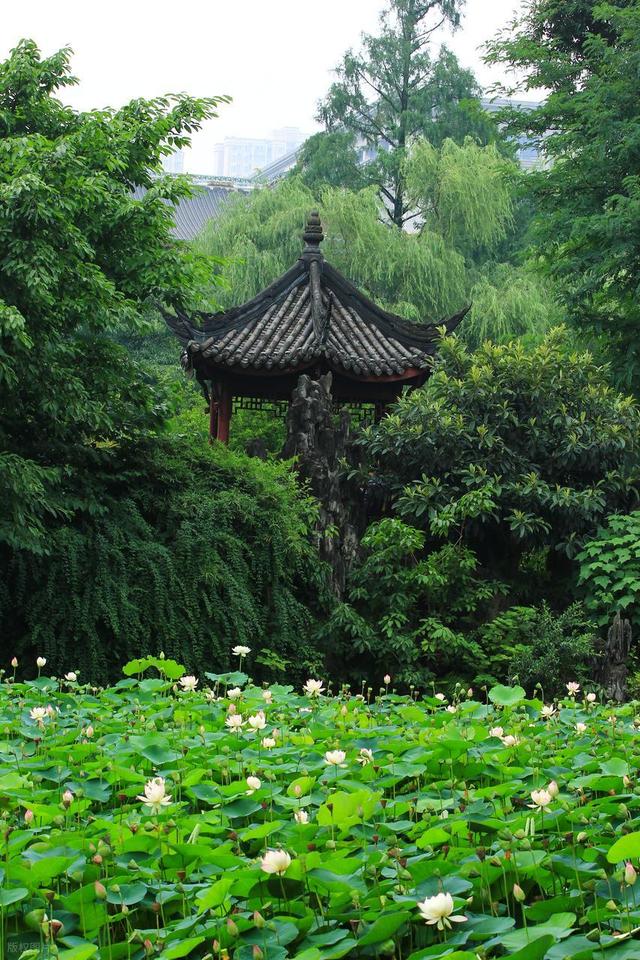 全部免费！地铁直达！成都值得一去的8个宝藏公园推荐！周末安排