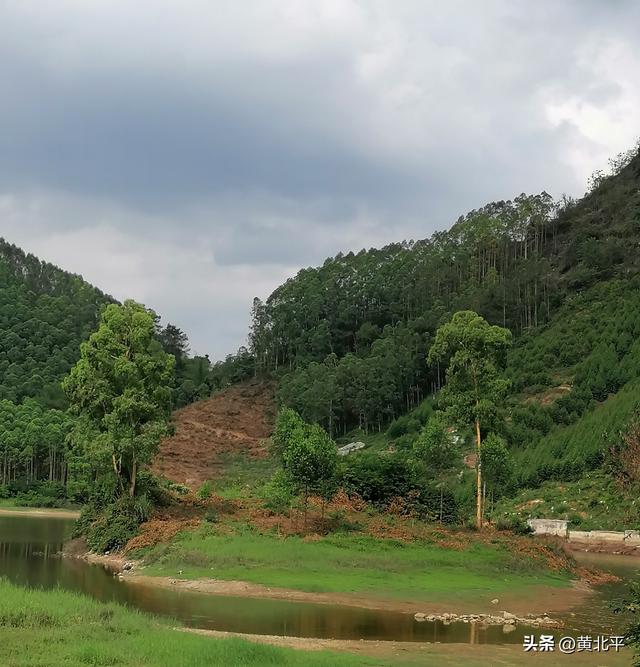 广西百色平果市与隆安县交界有座水库，中央有座孤岛很有意思