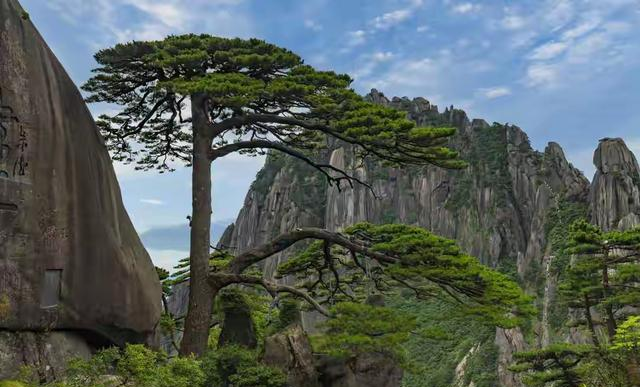 浙江没想到，江苏也没想到，如今的中国安徽，已成为全国焦点