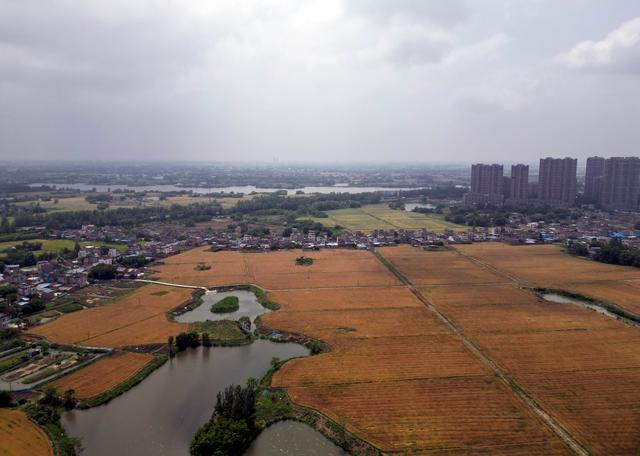 自媒扬新风徽聚好故事：江潮澎湃涌鸠兹，古韵今辉耀芜湖