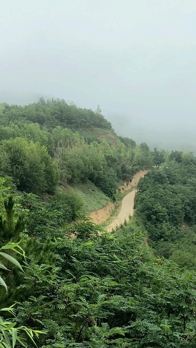 陇上行（二四）最美梯田在哪儿？南有元阳，北有庄浪！（8月4日）