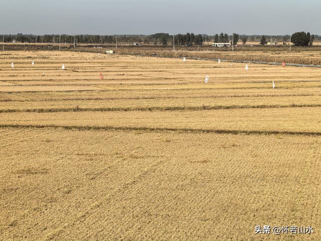 2025辽宁赏秋之旅日记(5)——从本溪前往盘锦 游览红海滩景观