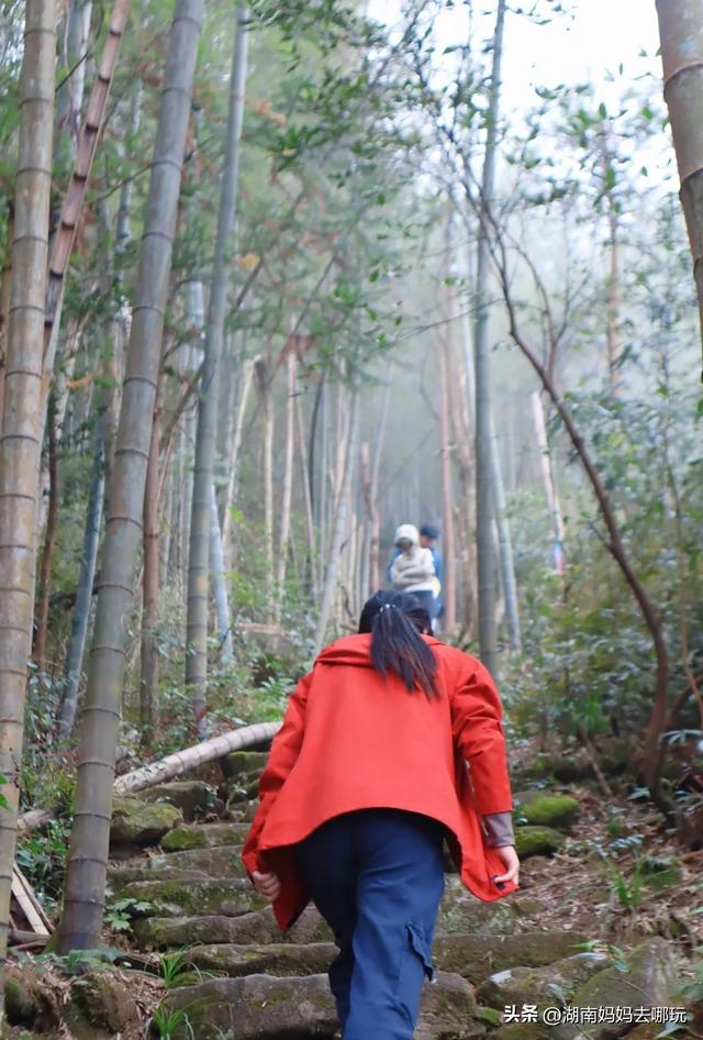 1.5h直达!藏在山野里的捡秋秘境,瀑布+挖宝双buff拉满!