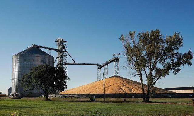 反转！中方刚同意买美豆，特朗普还没来得及高兴，45人投下反对票