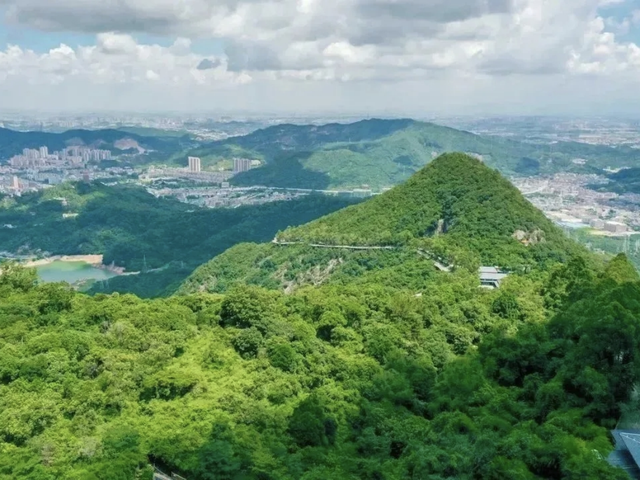 2026元旦去哪玩？来东莞观音山开启新年之旅！