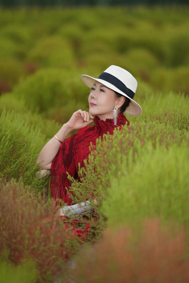 嘉北郊野公园“花海拾光”游记