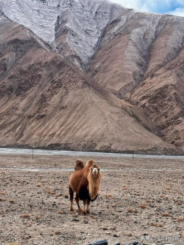 大西北风景随手拍