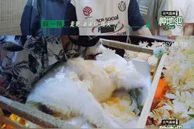 爱宠“身后事”如何处理？宠物殡葬：养宠人的“死亡教育课”图片