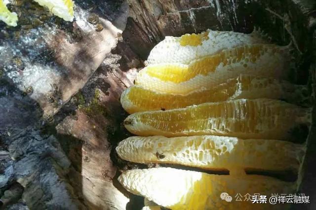 7月18日，普淜镇八甲地火把节，邀您共赴“火的盛宴”！