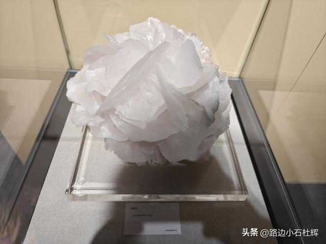 逛中国地质博物馆——一家好博物馆的暑期不佳体验