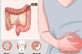 肠炎用药组合：复方仙鹤草肠炎片联合固本益肠丸图片