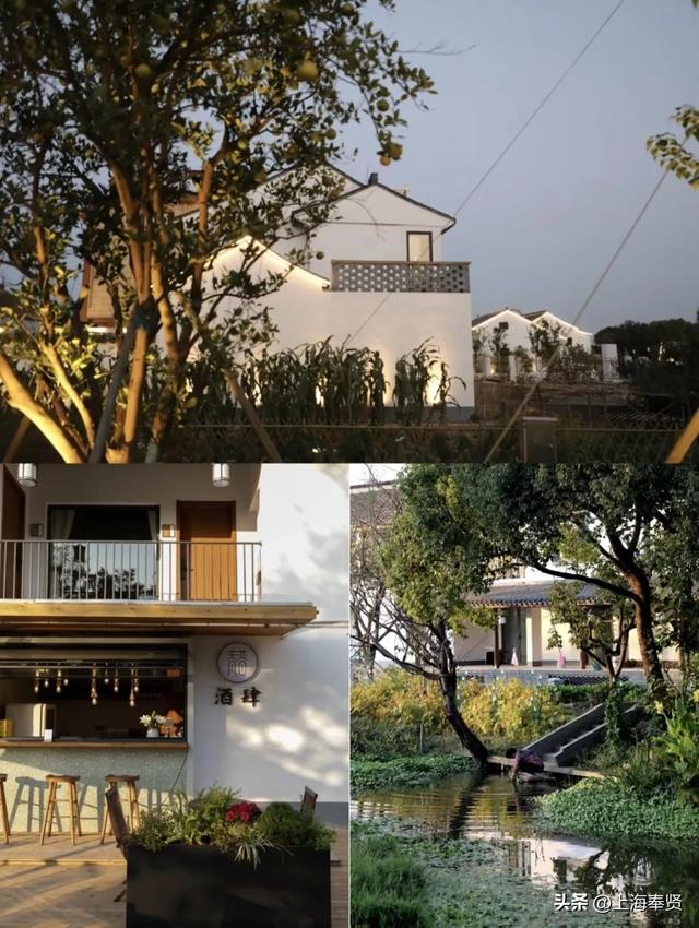 青村这些纳凉胜地，你都知道吗？