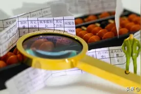 司马南：两会代表建议乡贤“挂职村干部”，乡镇干部咋变“表哥”图片