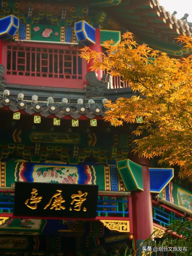 【乐游烟台】周末好去处丨被烟台家门口的赏秋徒步地，美哭了！