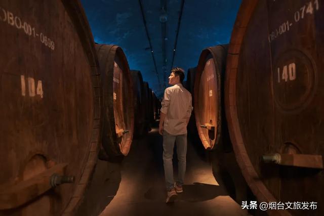 【乐游烟台】明星大导来烟都去哪里采风？速来打卡同款→