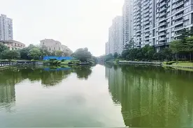 东莞房价最高的10个小区图片