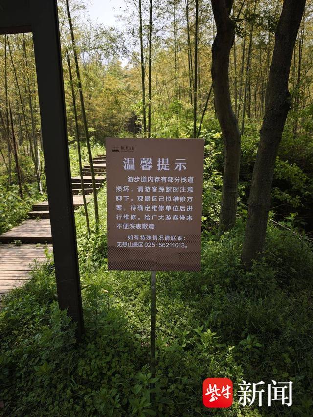 南京无想山网红栈道出笋期被封引热议 溧水区林场回应:已开放步道 后期加派人员管理