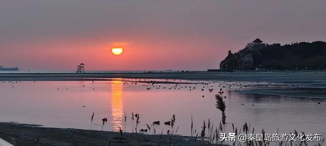 这个冬天,来秦皇岛追一次朝阳!