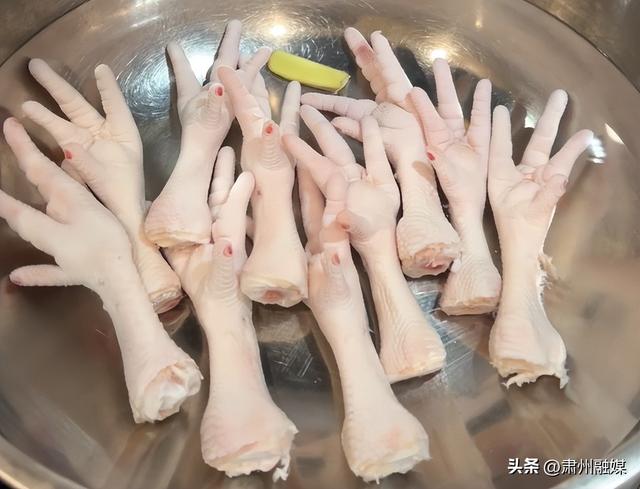 花胶海参党参汤 党参和花胶可以一起用来炖鸡吗