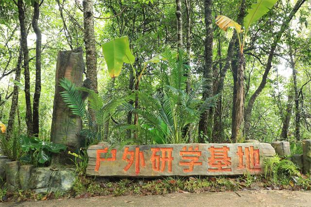 普洱太阳河森林公园联手携程景点玩乐共同打造——云南虫谷森林体验馆震撼上新！