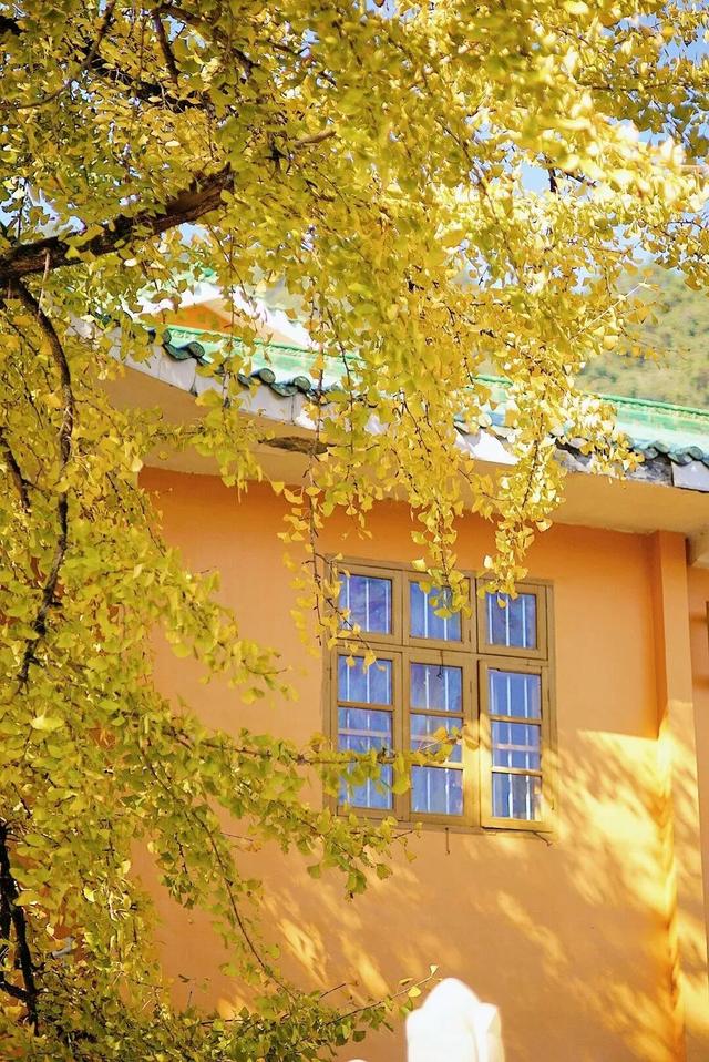 如何把1天过成N天？跟着韶关这条线路解锁瑶乡浓烈的快乐