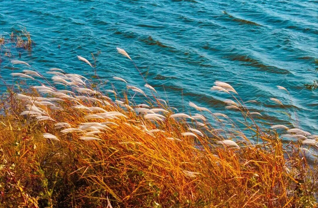 山景正宜人！青岛这里的山，已美到Next level