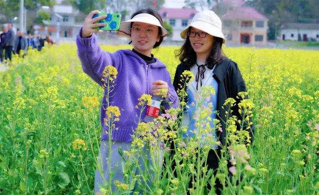 七彩油菜花开时，网红游客竞相来
