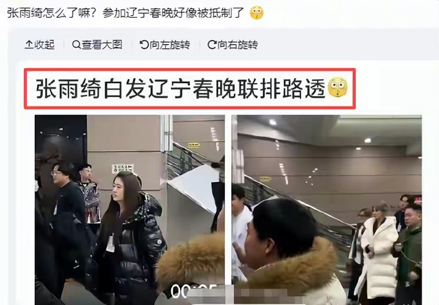 国家出手，张雨绮恐彻底凉凉！私生活再添实锤	，不止代孕这么简单