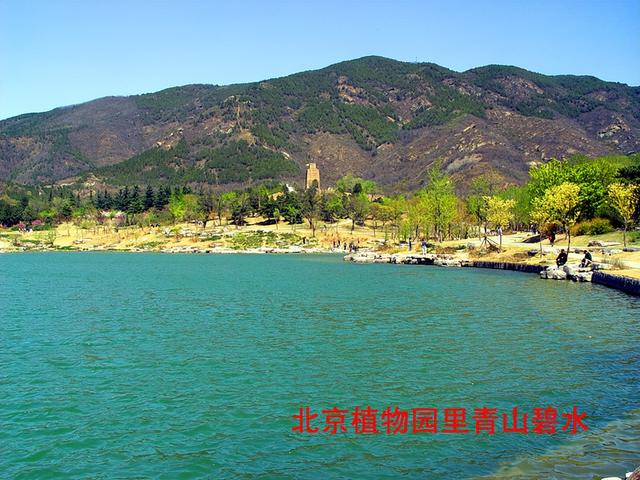 北京旅游：走进西山脚下的植物园（图）