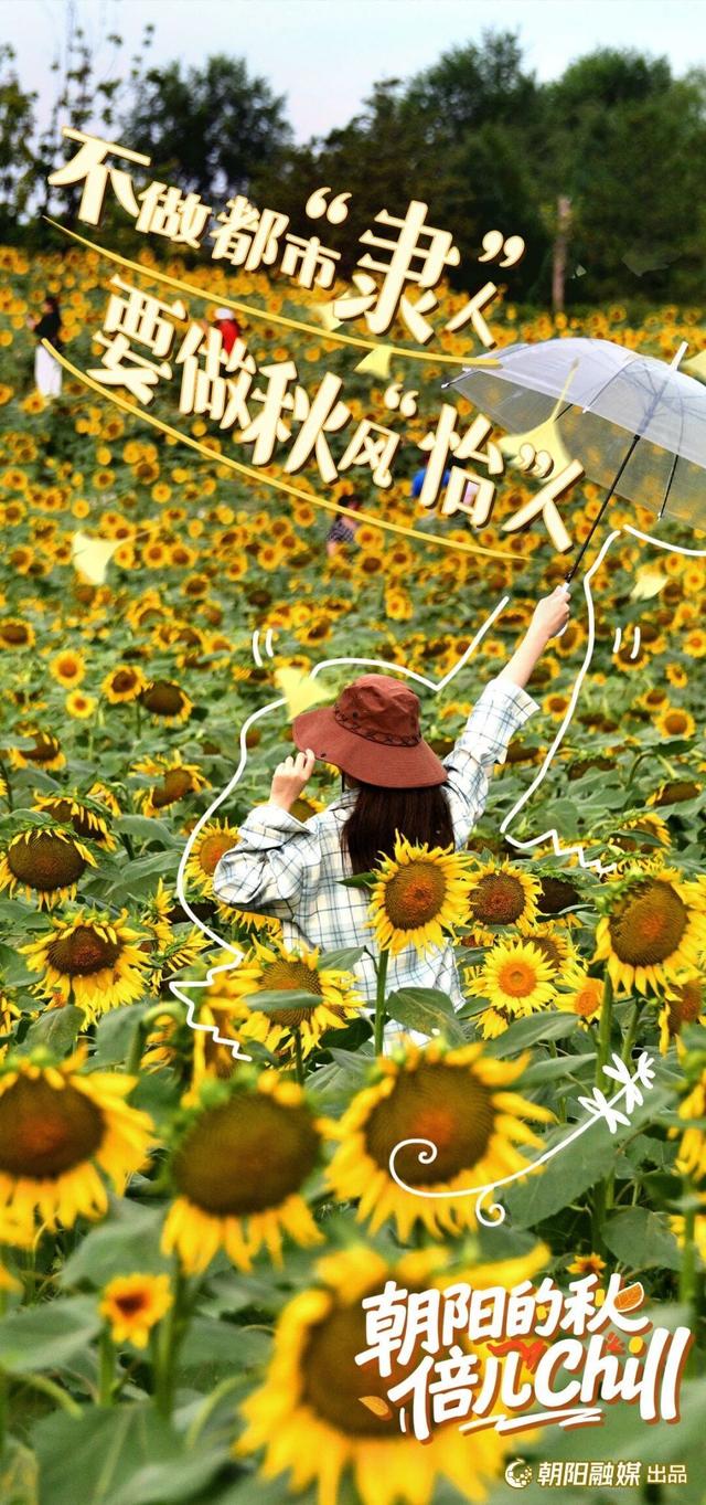 来北京朝阳，开启最chill的秋日漫游——