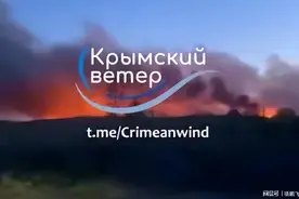 克里米亚遭受最大规模攻击！俄四大空军基地遇袭图片