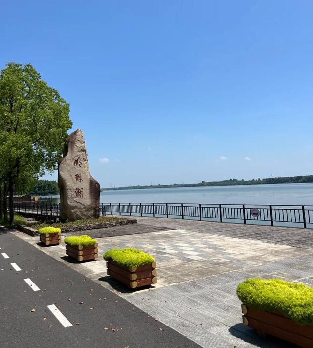 上海风向变了：以前无人关注的崇明，未来可能让你高攀不起！