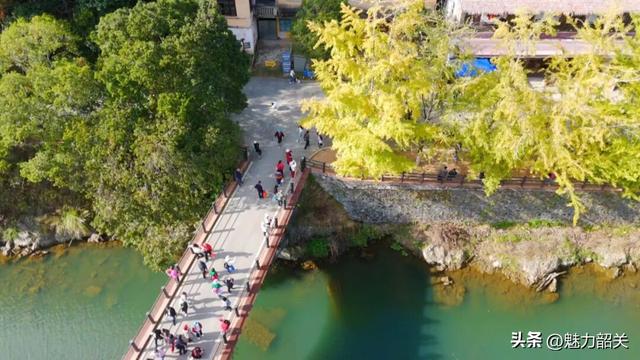 香港千人乘高铁赴韶关 共赴帽子峰“银杏之约”