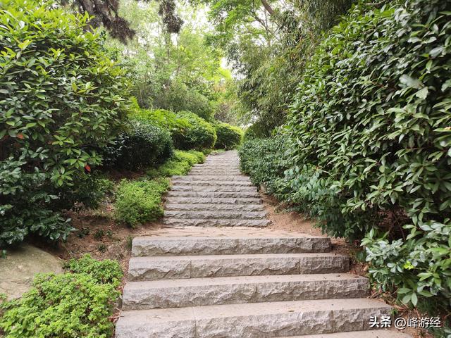 傍晚爬威海塔山，取景器俯瞰山海风光，山脚寻到另一座文笔峰宝塔