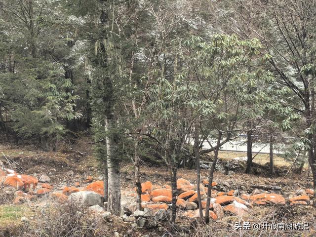 喀什经317到成都，色达县-都江堰，甲居藏寨、理小路、桃坪羌寨